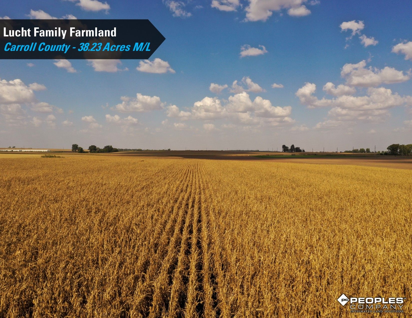 Listing Photo: Lucht-Family-Farmland-Auction-Online-Carroll-County-Iowa-38.23Acres (20)